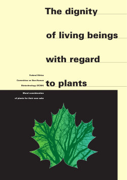 The dignity of living beings with regard to plants