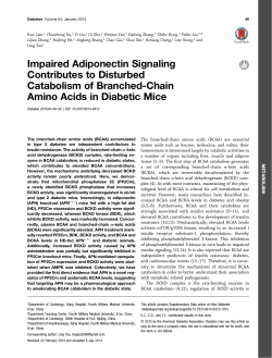 Impaired Adiponectin Signaling Contributes to Disturbed