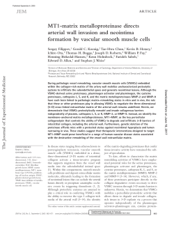 MT1-matrix metalloproteinase directs arterial wall invasion