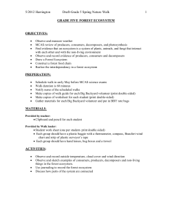 grade five forest ecosystem objectives