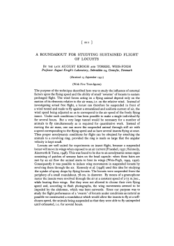 a roundabout for studying sustained flight of locusts