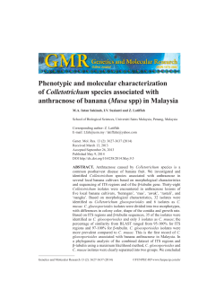 Phenotypic and molecular characterization of