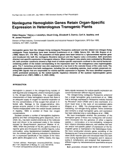 Nonlegume Expression Hemoglobin Genes Retain