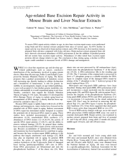 Age-related Base Excision Repair Activity in Mouse Brain and Liver