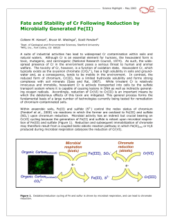 Fate and Stability of Cr Following Reduction by Microbially