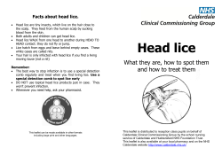 Head Lice - Heptonstall Junior Infant And Nursery School