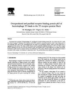 Overproduced and purified receptor binding protein pb5 of