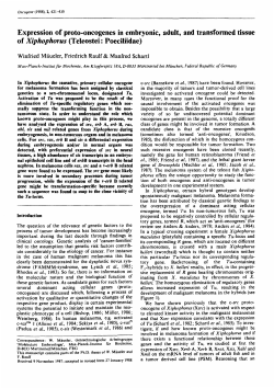 Expression of proto-oncogenes in embryonic, adult, and transformed