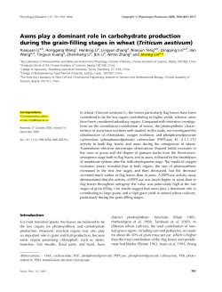 Awns play a dominant role in carbohydrate production