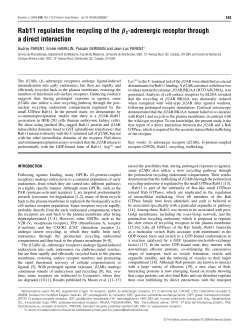 Rab11 regulates the recycling of the &beta;2