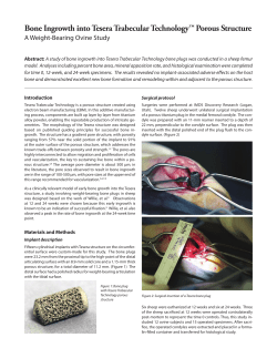 Bone Ingrowth into Tesera Trabecular Technology™ Porous Structure