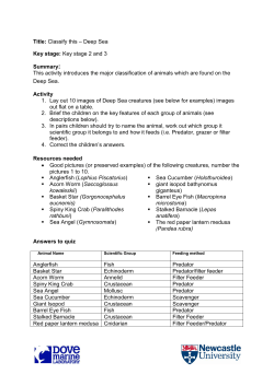Teacher resource booklet and student activity