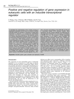 Positive and negative regulation of gene expression in eukaryotic