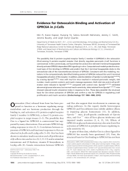 Evidence for Osteocalcin Binding and Activation of GPRC6A in &szlig;