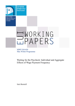 Max Weber Programme Waiting for the Paycheck: Individual and