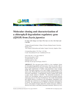 Molecular cloning and characterization of a chlorophyll degradation