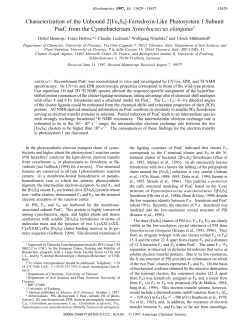 Characterization of the Unbound 2[Fe4S4]-Ferredoxin