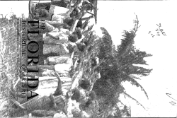 The Florida Historical Quarterly