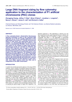 Large DNA fragment sizing by flow cytometry