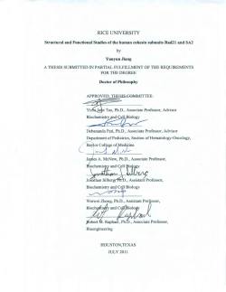 L - Rice Scholarship Home