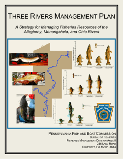 three rivers management plan