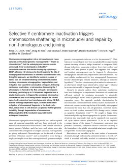 Selective Y centromere inactivation triggers chromosome shattering
