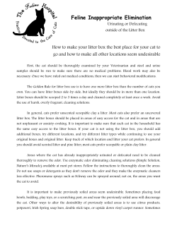 Feline Inappropriate Elimination