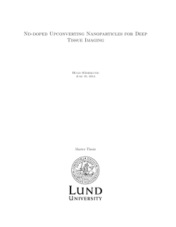 Open Access - Lund University Publications