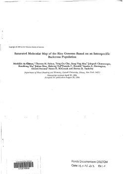 Saturated molecular map of the rice genome based on an