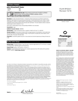 pGL4.23[luc2/minP] Vector Certificate of Analysis 9PIE841