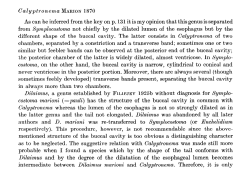 Original description (NemasLan)