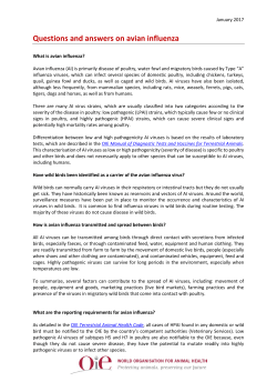 Avian Influenza