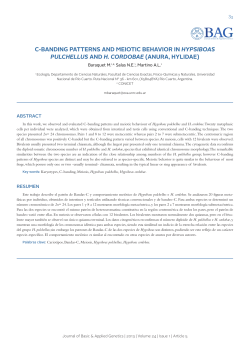 c-banding patterns and meiotic behavior in