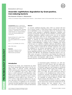 Anaerobic naphthalene degradation by Grampositive, ironreducing