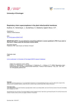 University of Groningen Respiratory chain supercomplexes in