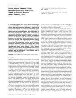 Dorsal Anterior Cingulate Cortex Resolves