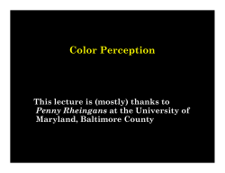 Color Perception