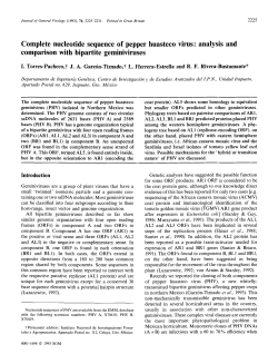 Complete nucleotide sequence of pepper huasteco virus: analysis
