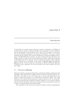 chapter 1 introduction - VU-dare