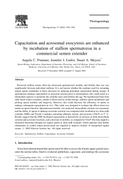 Capacitation and acrosomal exocytosis are enhanced by incubation