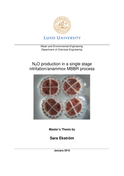 N2O production in a single stage nitritation/anammox MBBR process
