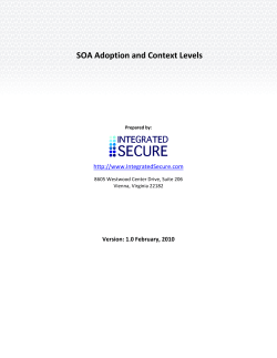 SOA Adoption and Context Levels