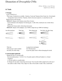 E_CNS_Dissection.works (WP)