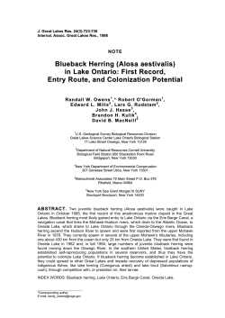 Blueback Herring (Alosa aestivalis) in Lake Ontario: First