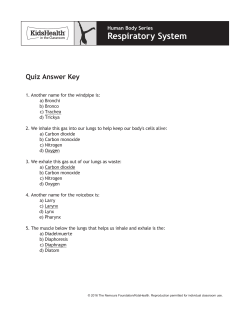Answer Key - KidsHealth in the Classroom