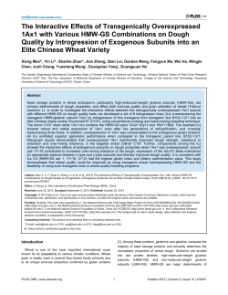 The Interactive Effects of Transgenically Overexpressed 1Ax1 with