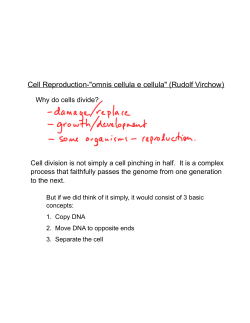 Cell Reproduction-"omnis cellula e cellula" (Rudolf Virchow)