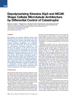 Depolymerizing Kinesins Kip3 and MCAK Shape Cellular