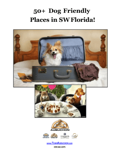 Pet Friendly Places Guide 2017