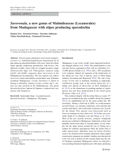 Savoronala, a new genus of Malmideaceae (Lecanorales)